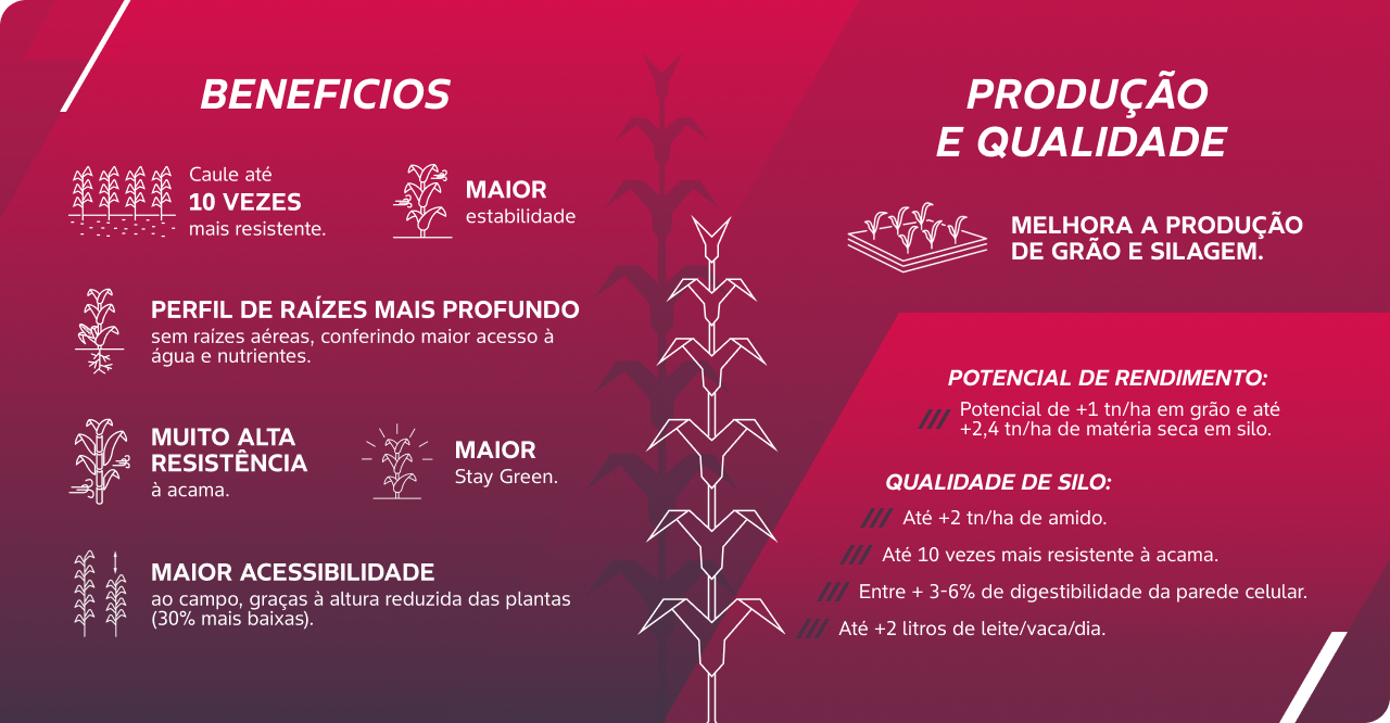 2_Razões para escolher o sistema Preceon.png
